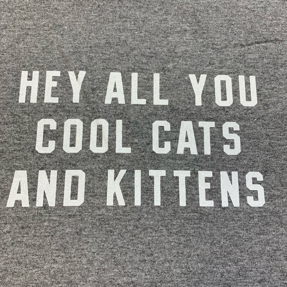 Delta Pro Weight Hey All You Cool Cats And Kittens Graphic T-Shirt Gray Large - Picture 2 of 4